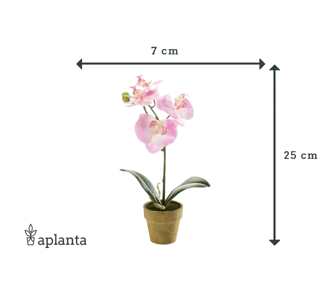 Orchidea artificiale - Lynn | 25 cm