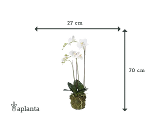Orchidea artificiale - Marie | 70 cm