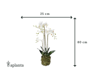 Orchidea artificiale - Marie | 80 cm