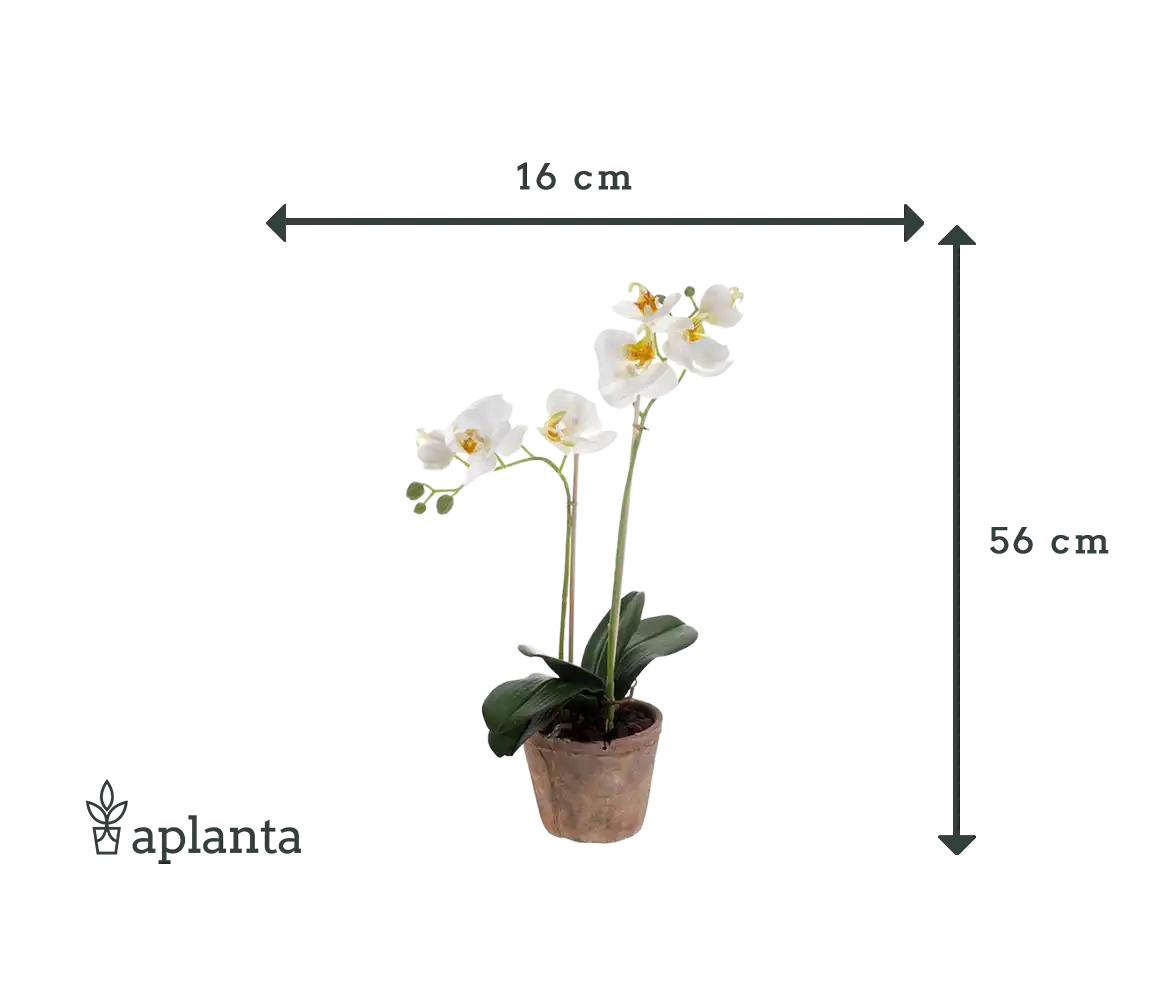 Orchidea artificiale - Nika | 56 cm