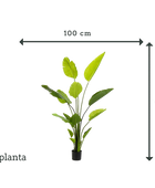 Strelitzia artificiale - Colin | 150 cm