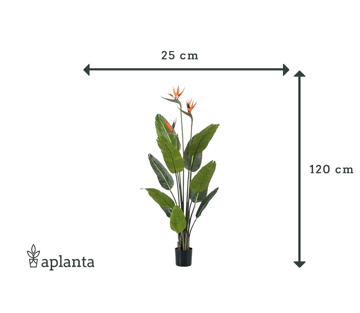 Strelitzia artificiale - Constantin | 120 cm