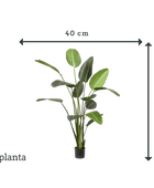 Strelitzia artificiale - Josephine | 230 cm