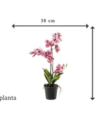 Orchidea artificiale - Liam | 60 cm