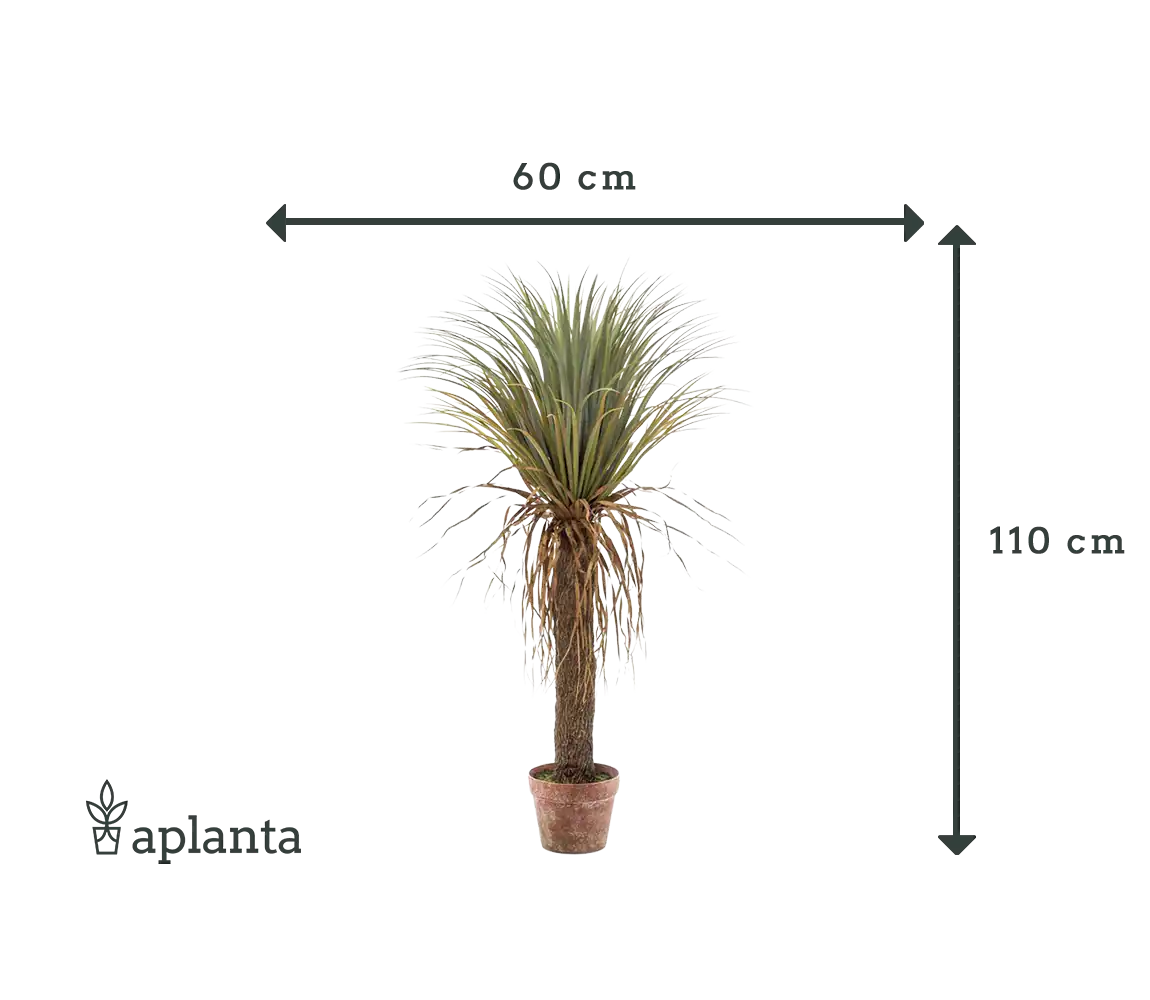 Palma artificiale di yucca - Kristina | 110 cm