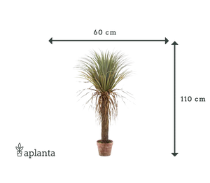 Palma artificiale di yucca - Kristina | 110 cm