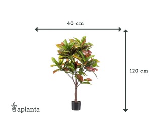 Croton artificiale - Julie | 120 cm