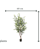 Albero artificiale di eucalipto - Christopher | 140 cm