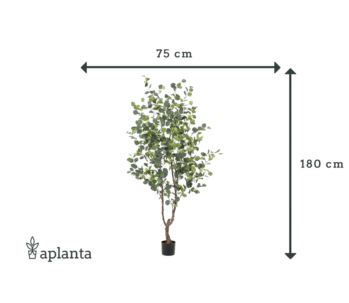 Albero artificiale di eucalipto - Christopher | 180 cm