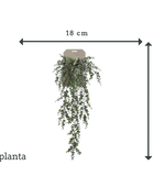 Eucalipto artificiale sospeso - Richard | 75 cm