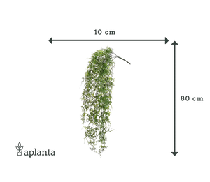 Felce artificiale pendente - Katharina | 80 cm, pianta a spina