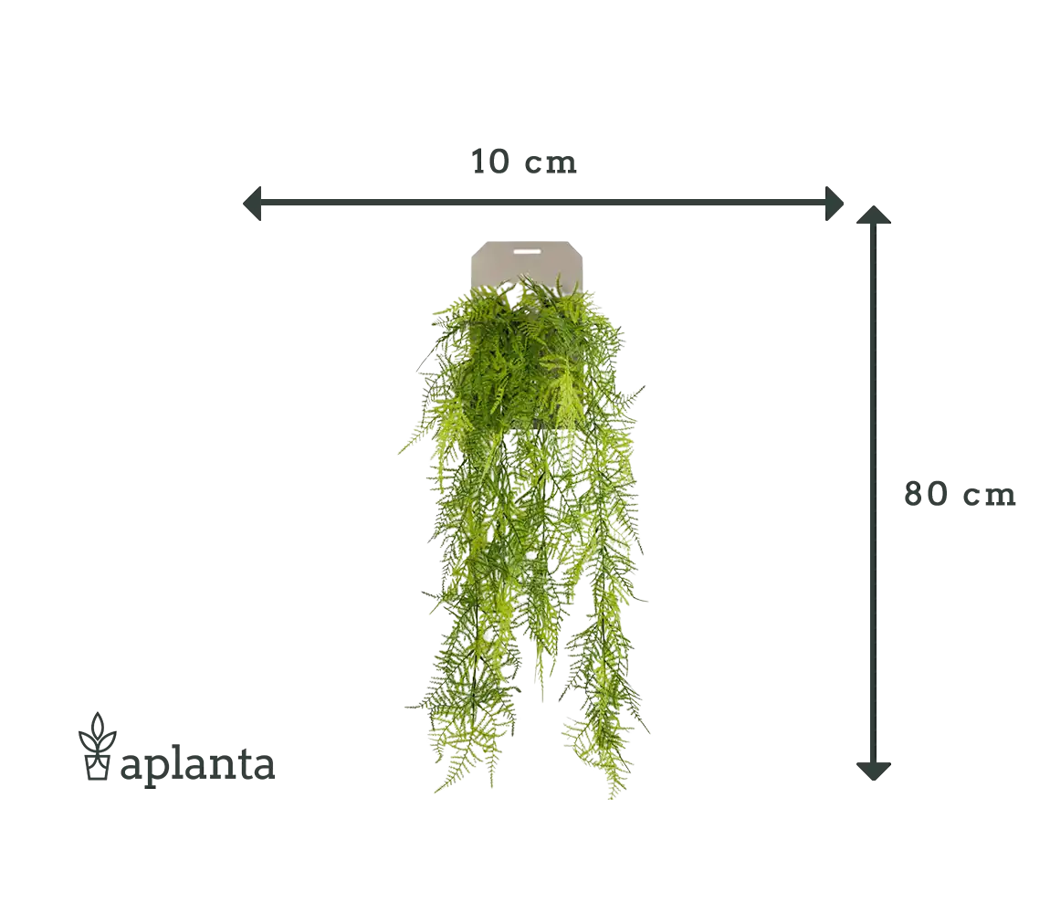 Asparago artificiale a piuma pendente - Luke | 80 cm