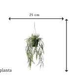 Asparago artificiale ornamentale sospeso - Kilian | 50 cm