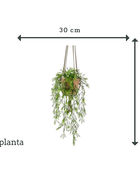 Asparago artificiale sospeso - Klaas | 65 cm