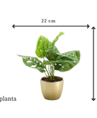 Arbusto artificiale di monstera - Lotte | 30 cm