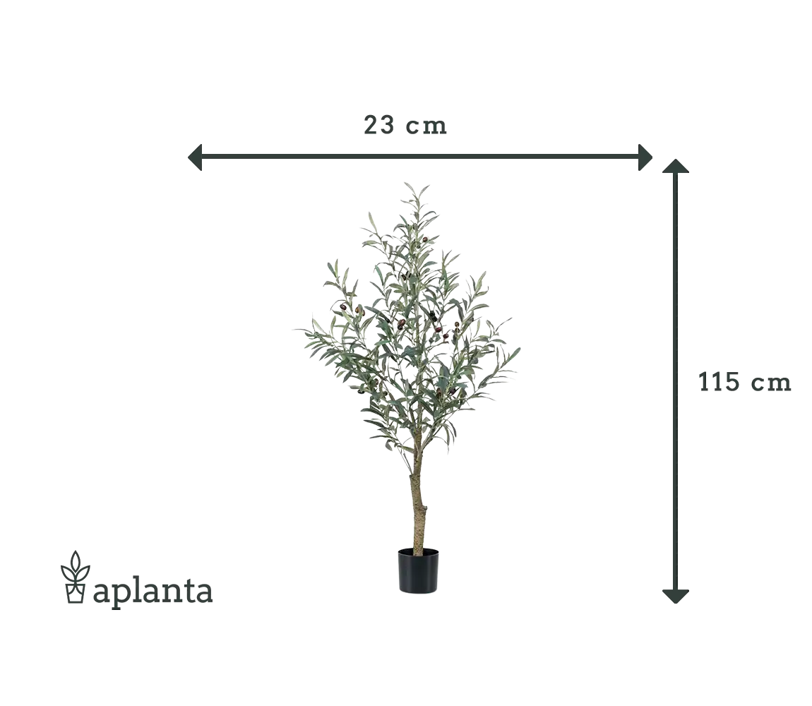 Albero di ulivo artificiale - Ceylin | 115 cm