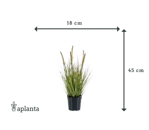 Lampada artificiale pulisci erba - Paulin | 45 cm