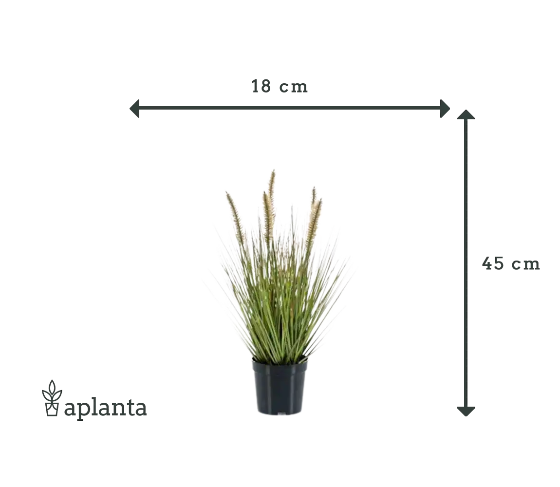 Lampada artificiale pulisci erba - Paulin | 45 cm