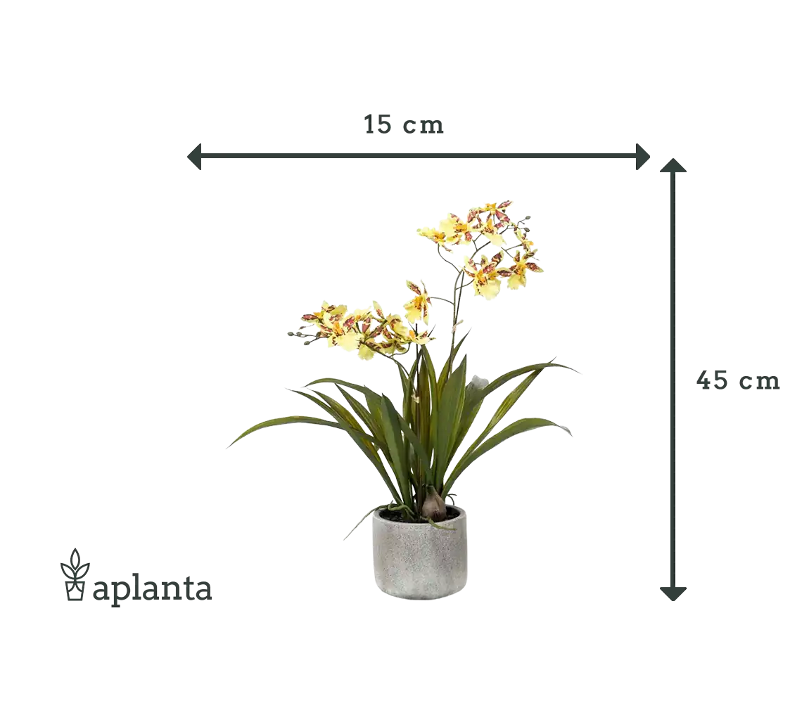 Orchidea artificiale - Lilli | 45 cm