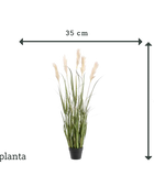 Künstliches Pampasgras - Luis | 130 cm