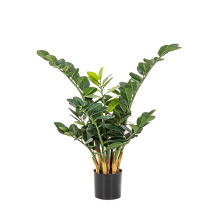 Impianto di prova Cindy