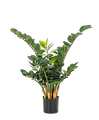 Impianto di prova Cindy