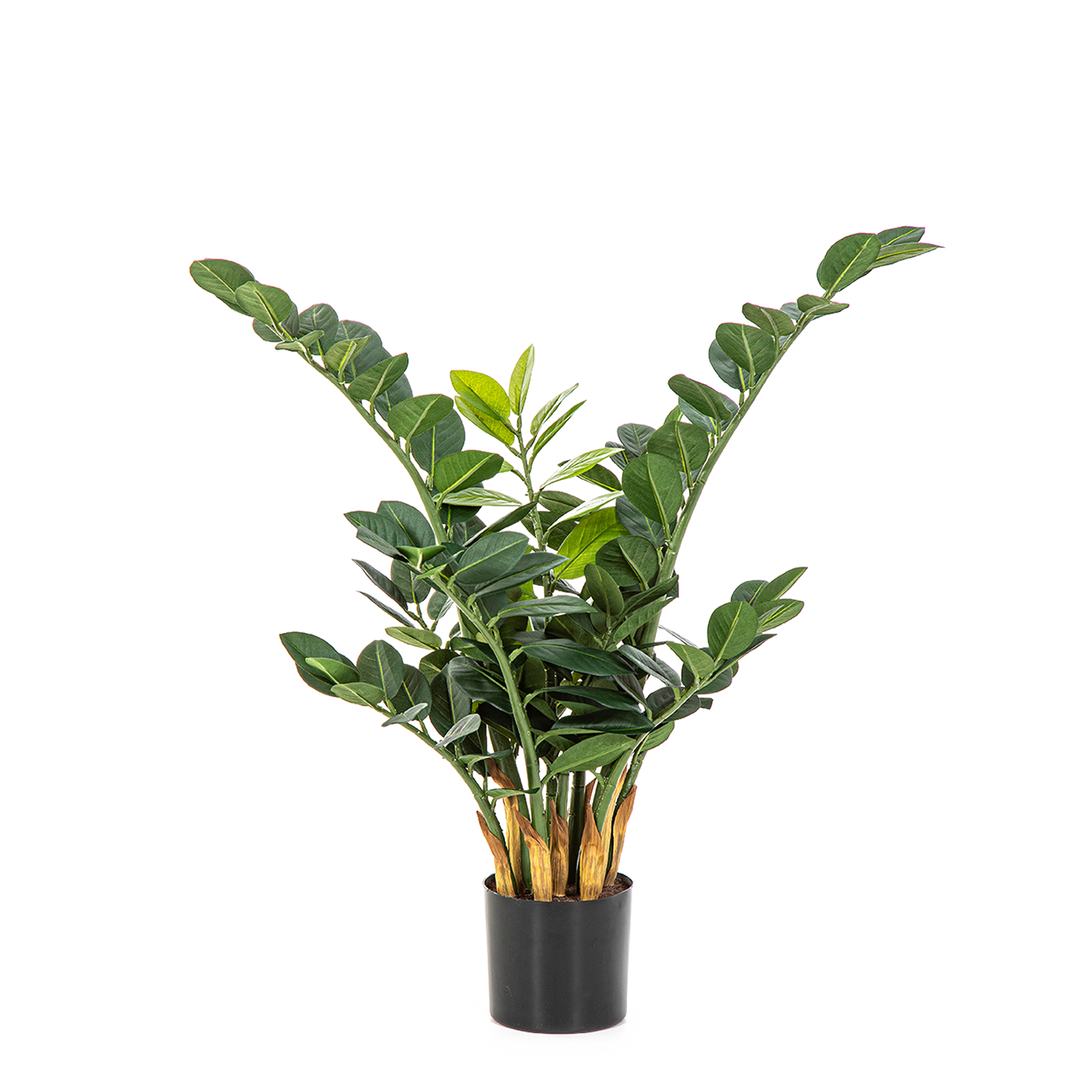 Impianto di prova Cindy